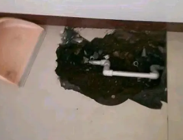 崇礼卫生间测漏水多少钱
